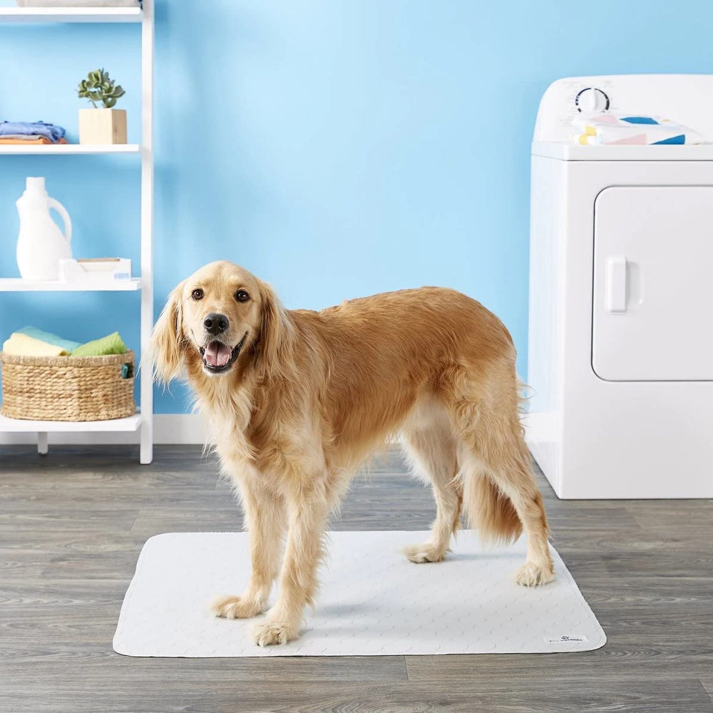 Pawtect, tapis gris et tan s adapte à votre intérieur
