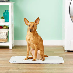 Pet Parents Pawtect Pads : coloris taupe et gris neutres pour s'intégrer au décor.