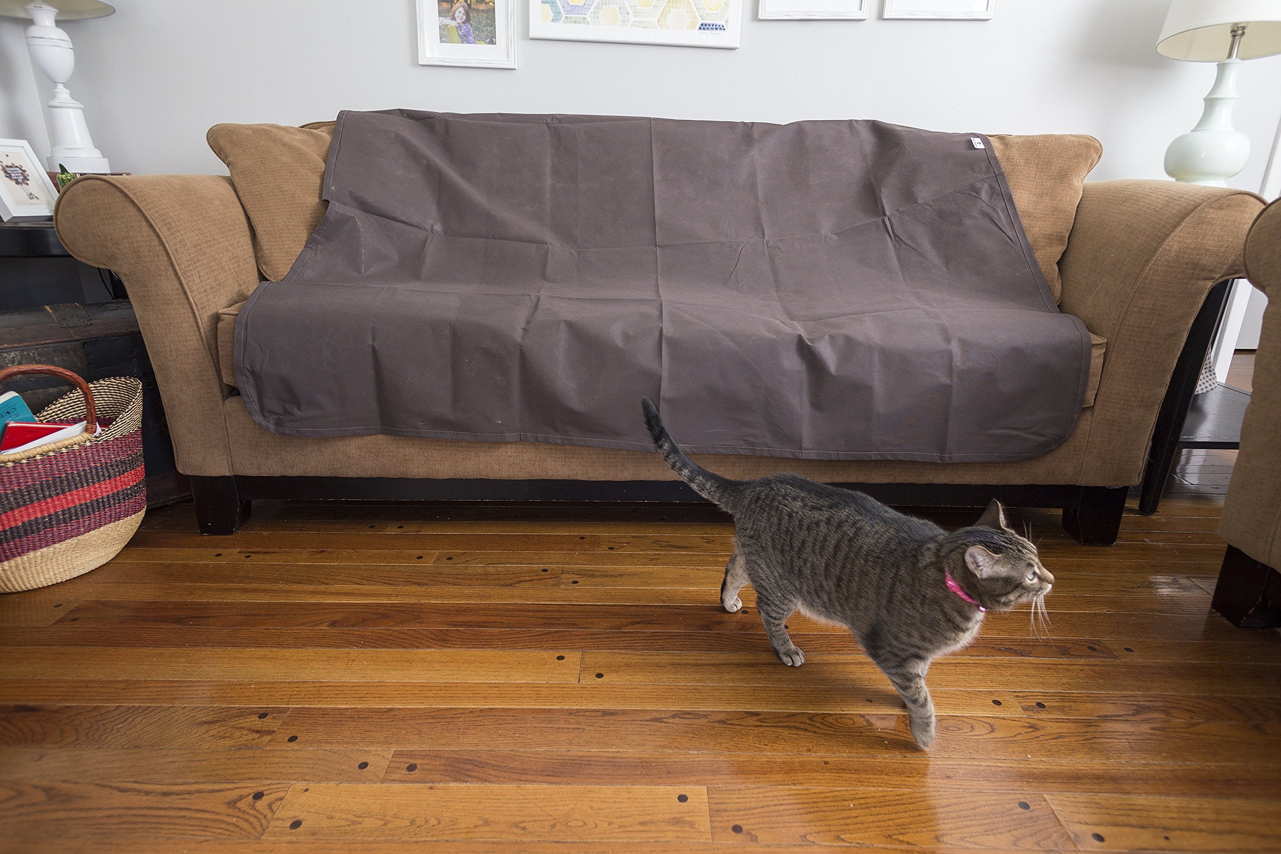 Pet Parents Tapis-dissuasion usage intérieur pour salon et chambre.