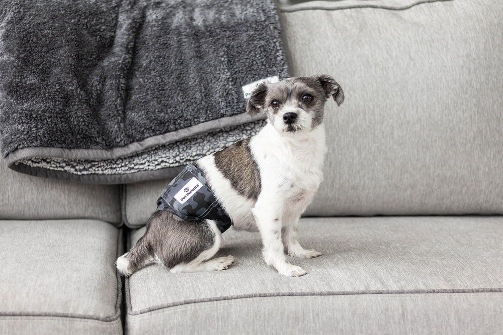 Wrap camouflage Pet Parents pour chien mâle, look discret et pratique.
