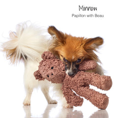 Jouet Pet Passion pour chien en peluche coton, parfait pour tirage et jeux interactifs.