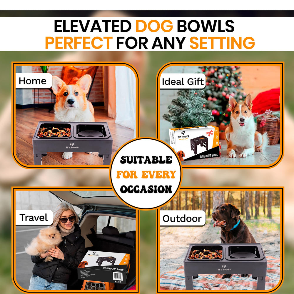 PET POWER utilisation quotidienne, convient du chiot au grand chien.