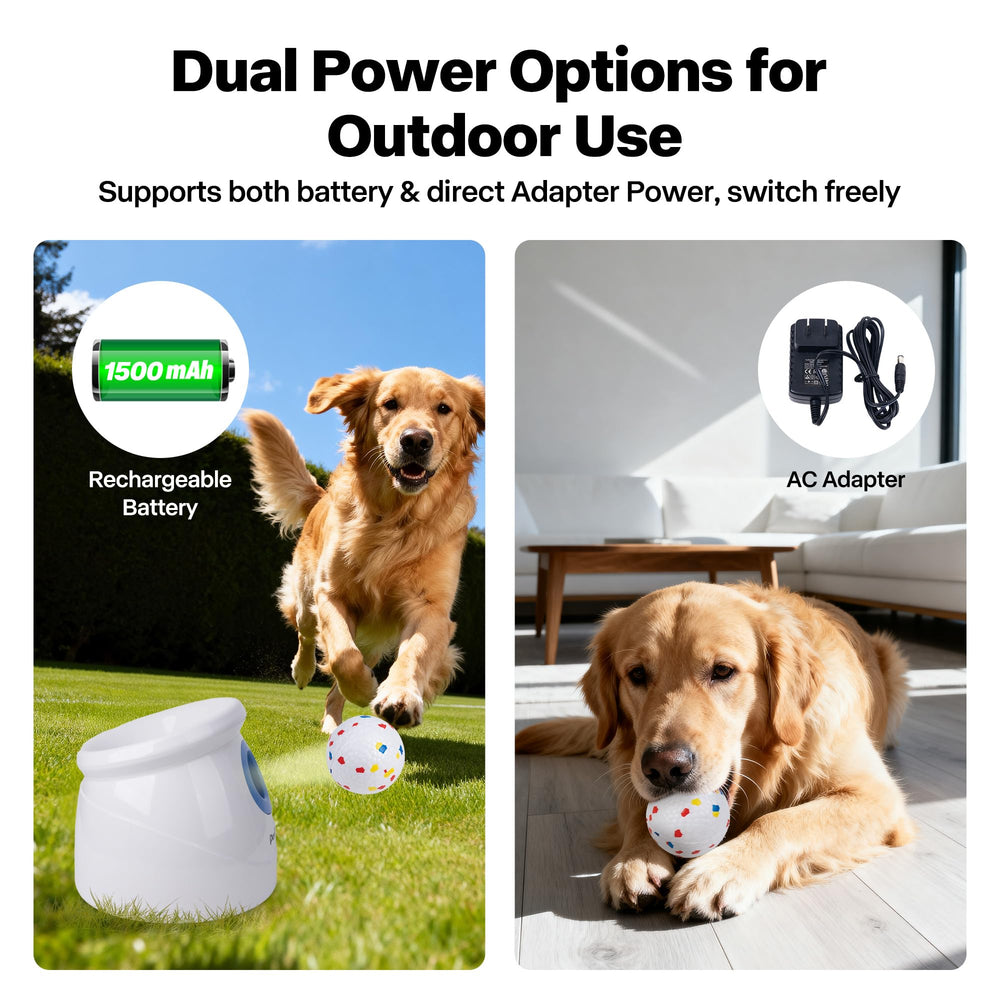 Adaptateur secteur Pet Prime pour alimentation continue.