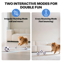 Mode mouvement irrégulier pour attirer l’attention de votre chien.