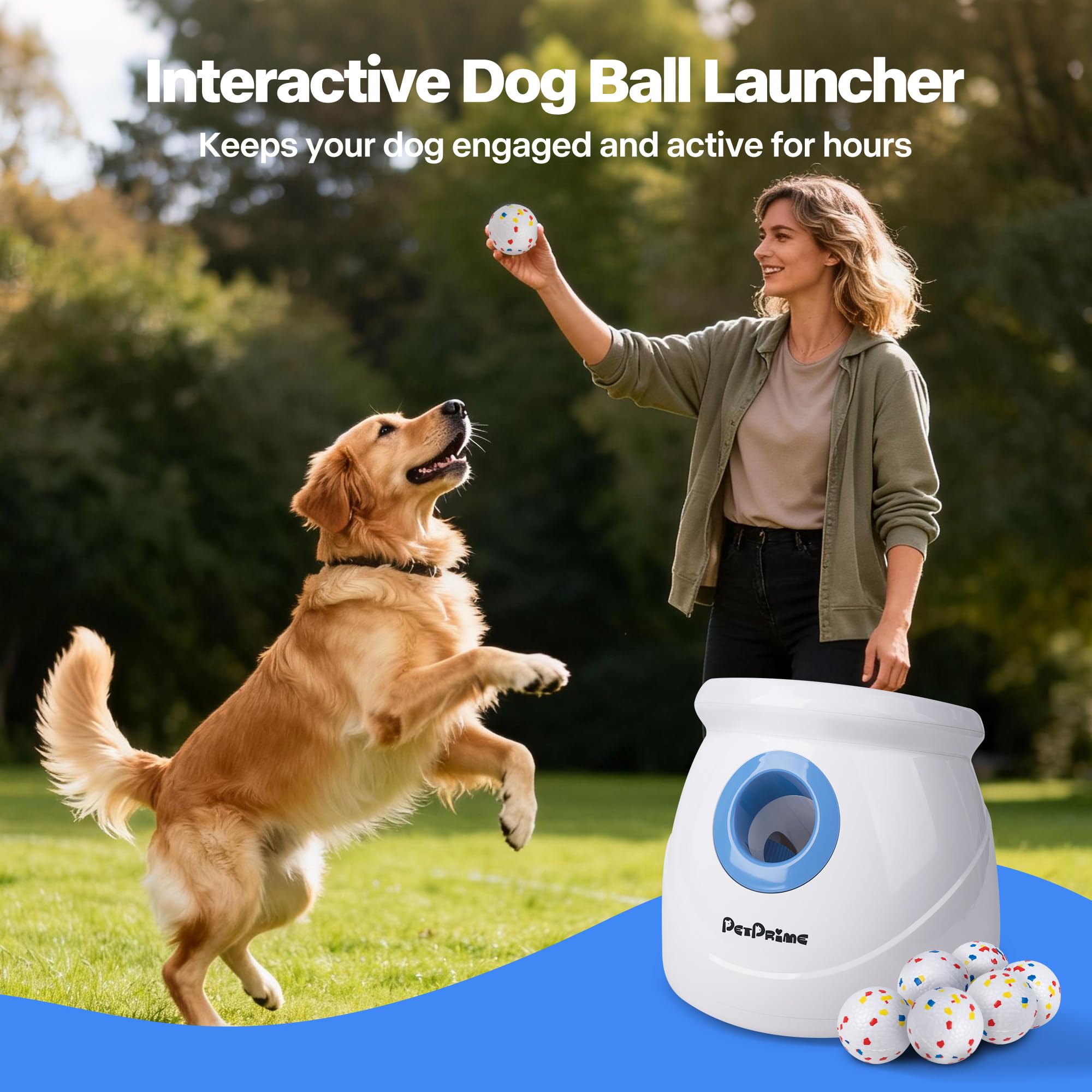 Pet Prime cadeau idéal pour chien grand, parfait pour anniversaires.