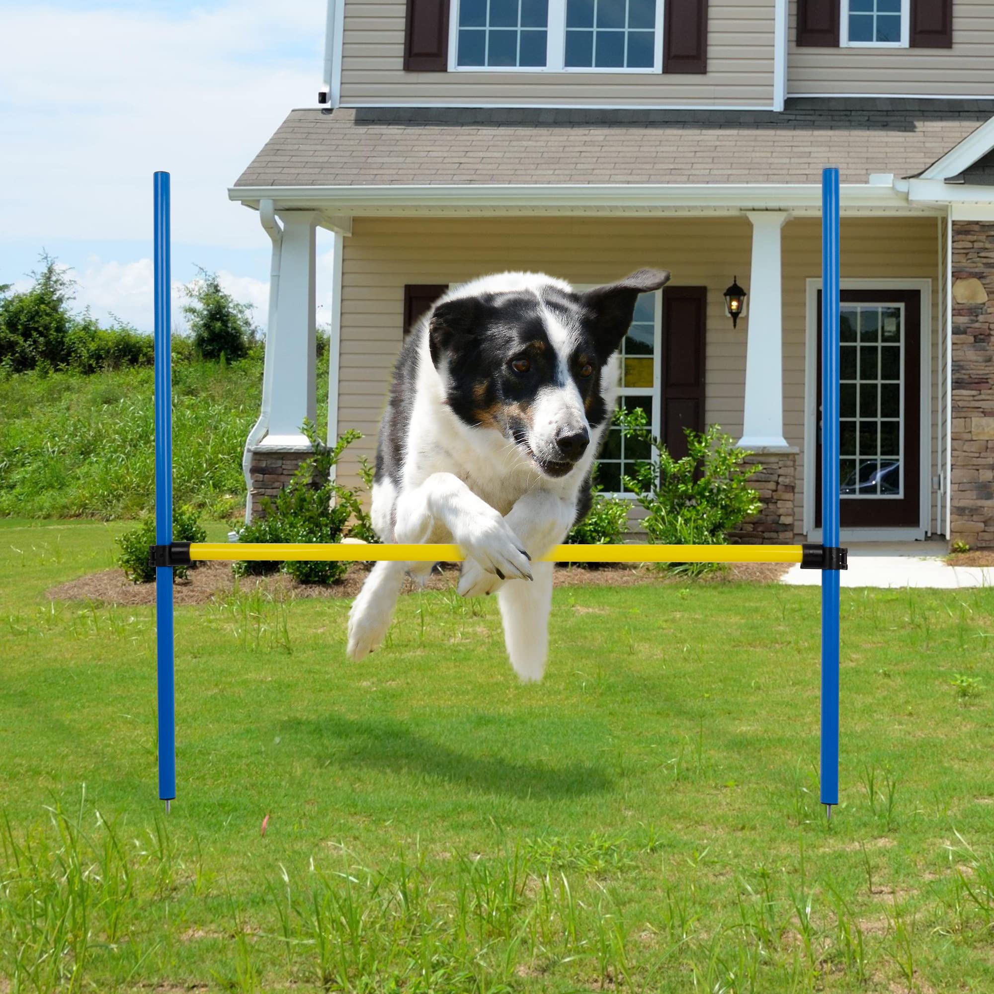 Pet Prime Cadeau idéal pour les propriétaires de chiens.