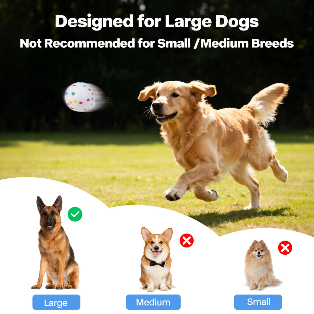 Ensemble complet Pet Prime prêt à l’emploi pour grands chiens.