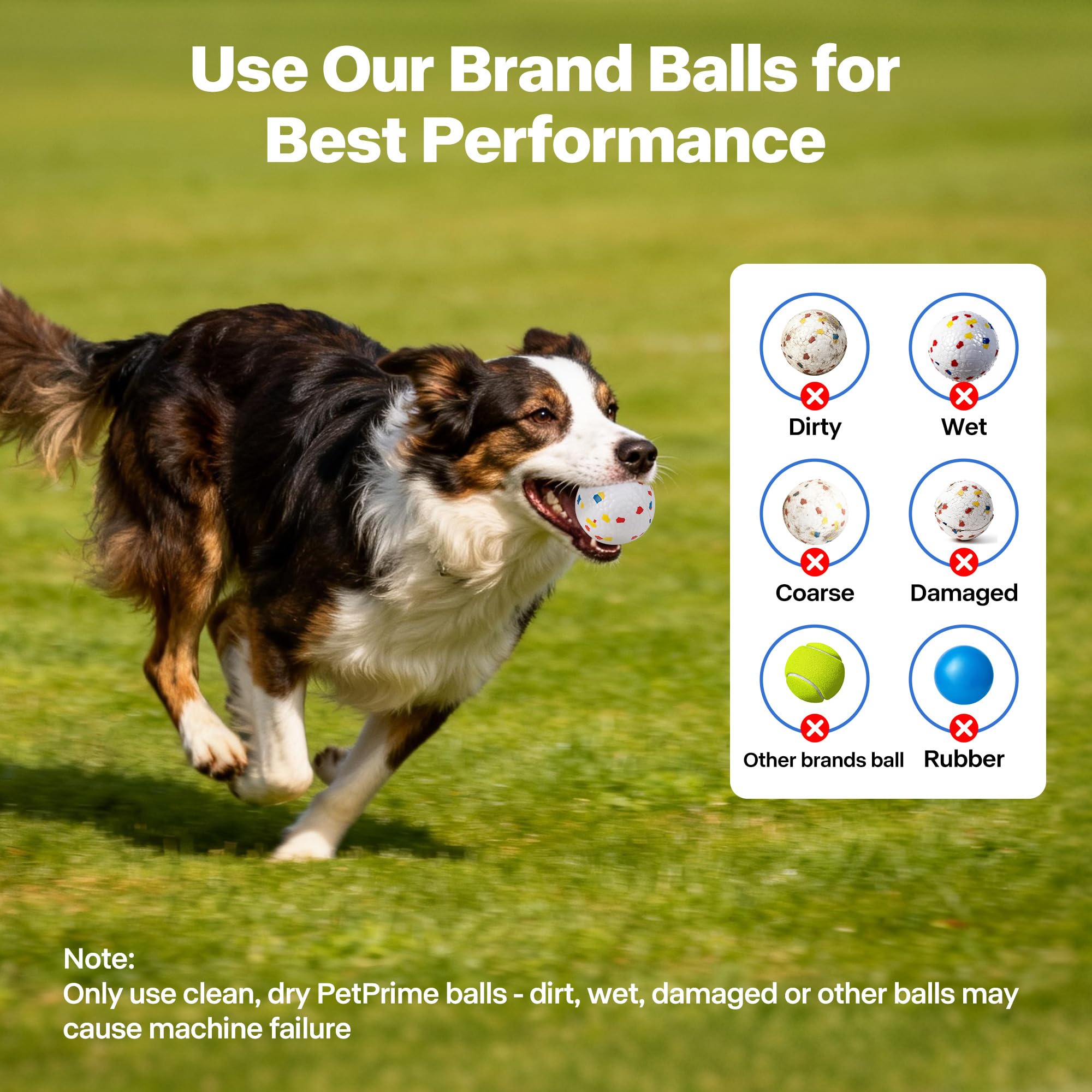 Jeu Pet Prime en plein air, idéal pour chiens actifs et grands gabarits.