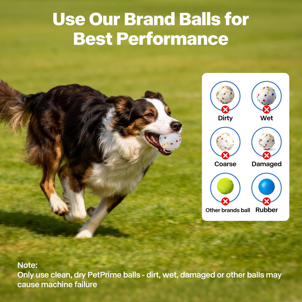 Jeu Pet Prime en plein air, idéal pour chiens actifs et grands gabarits.