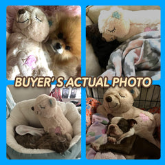 Peluche Pet Prime douceur offre un toucher confortable pour les moments de repos.