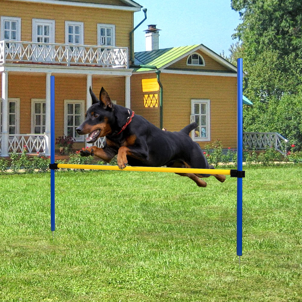 Pet Prime Saut agilite chien hauteur reglable, pratique pour tout niveau.