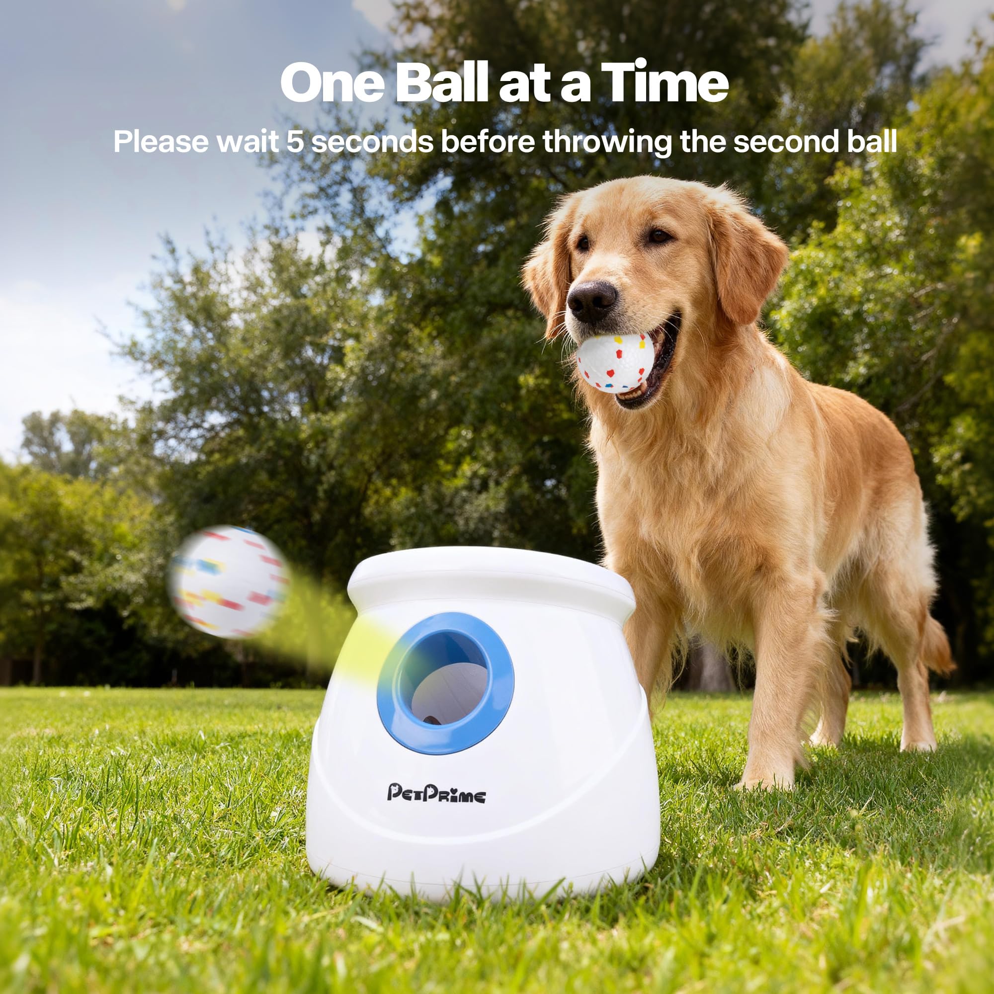Pet Prime usage extérieur – jeu actif et stimulation mentale en plein air.
