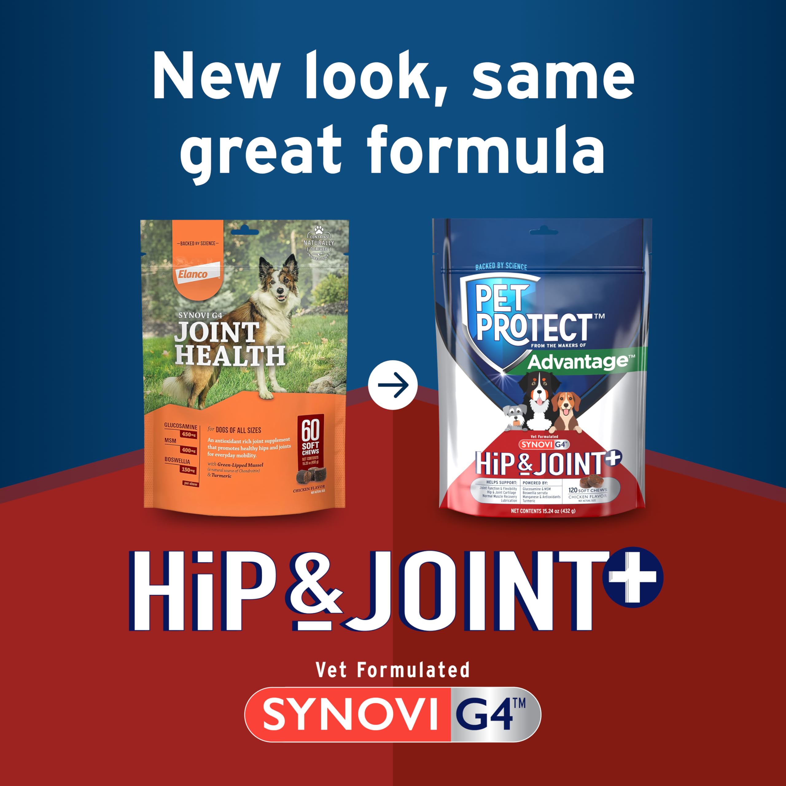 Curcuma et soutien articulaire pour Pet Protect Hip & Joint+.