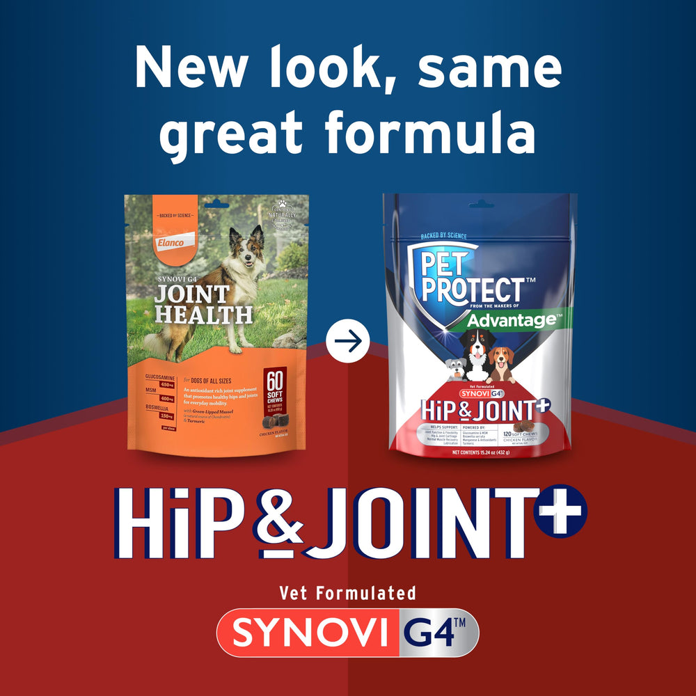 Curcuma et soutien articulaire pour Pet Protect Hip & Joint+.