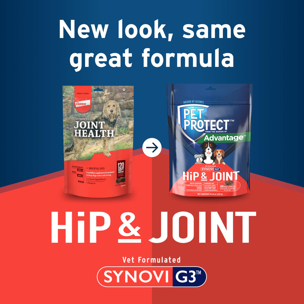 Pet Protect Synovi G3, formule vétérinaire favorisant la flexibilité articulaire