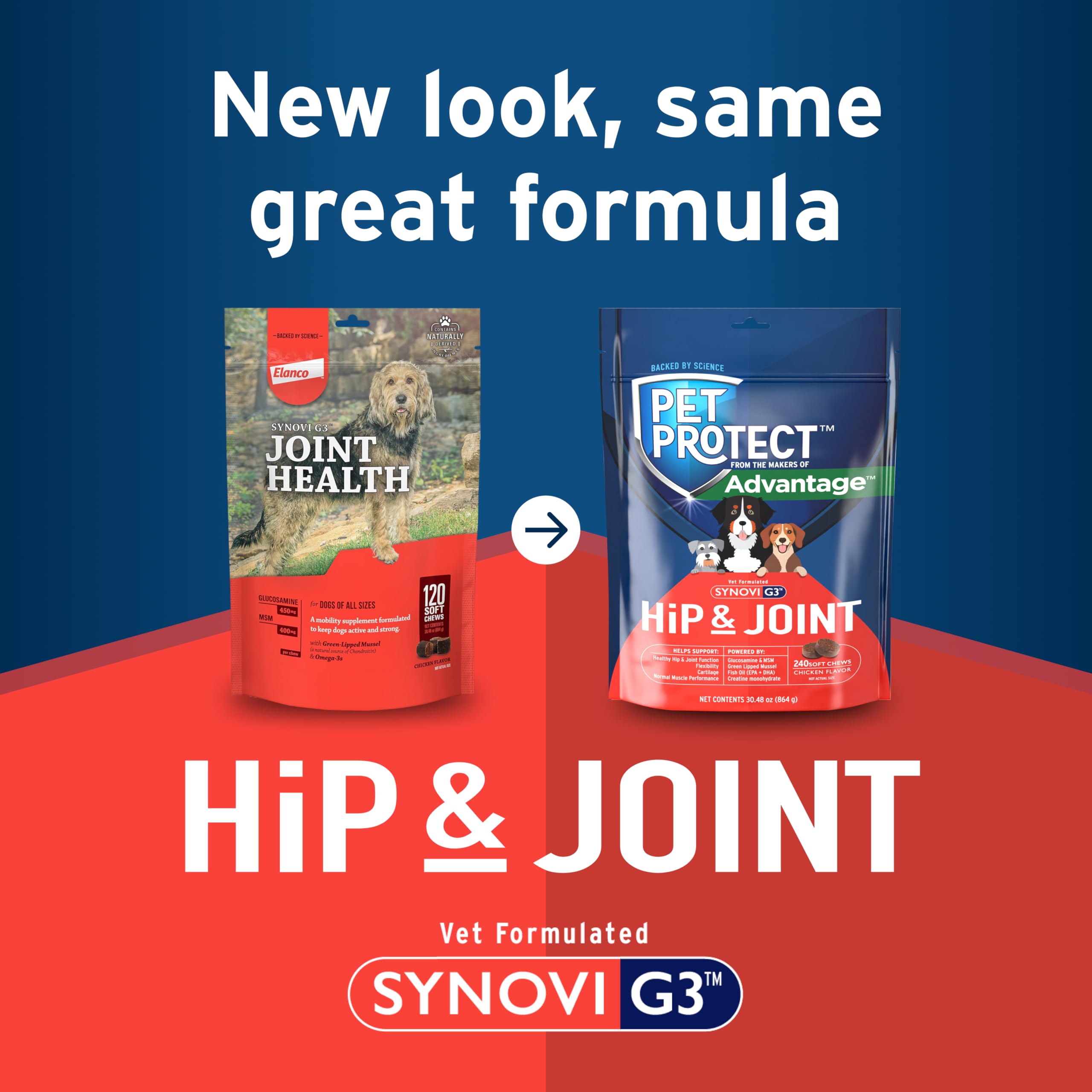 Pet Protect glucosamine MSM palourde verte huile poisson.
