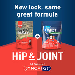 Pet Protect glucosamine MSM palourde verte huile poisson.