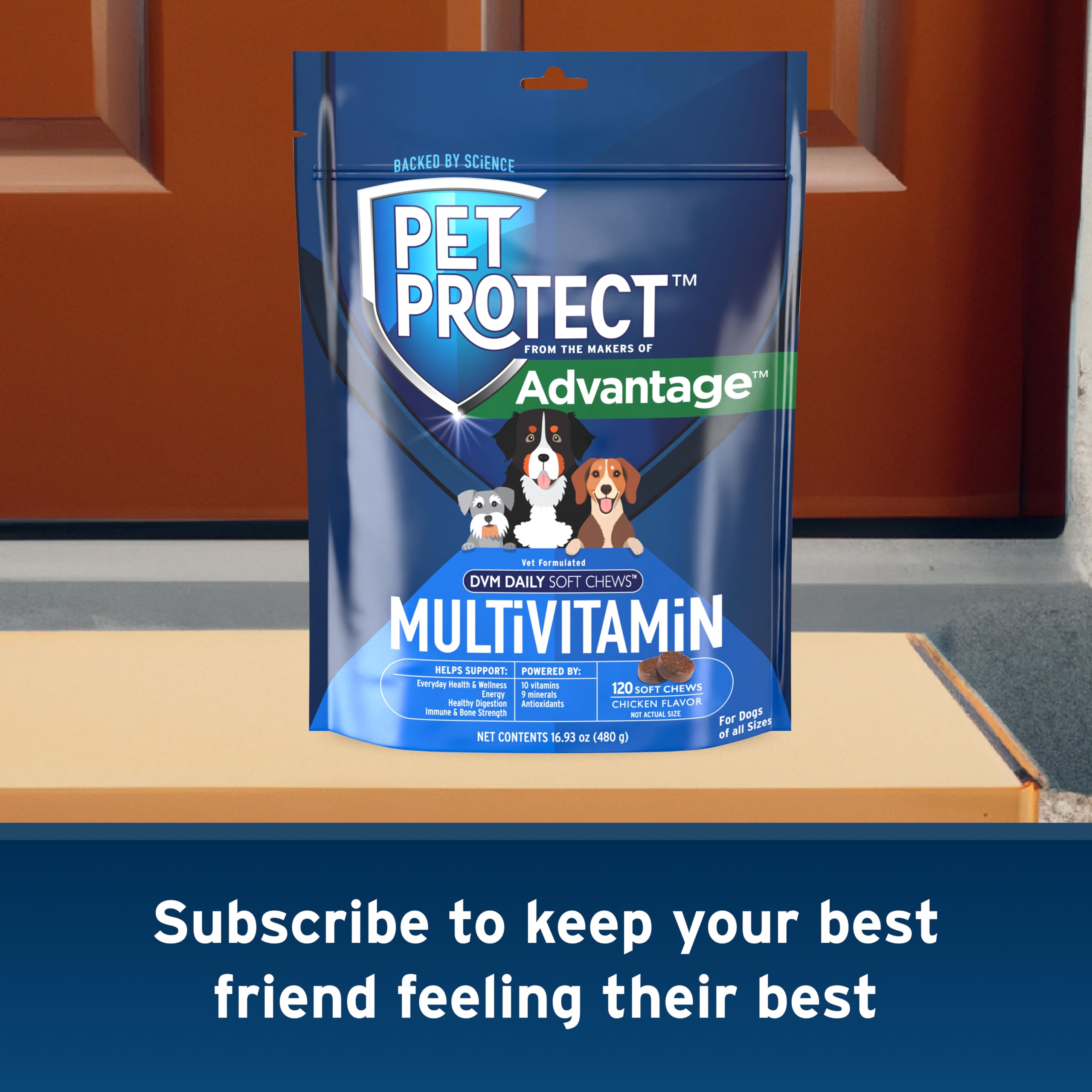 Pet Protect goût poulet, friandises molles pour chien appréciées