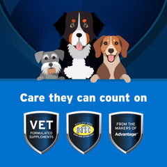 Pet Protect formulation DVM quotidien chien, friandises molles pour la digestion.