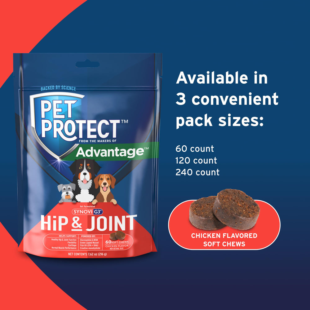 Pet Protect msm-creatine-monohydrate: soutien musculaire potentiel.