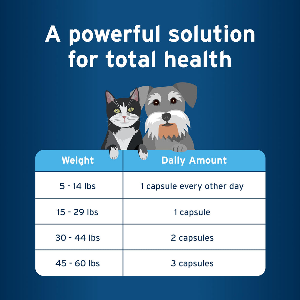 Sante yeux Pet Protect Omega-3, potentiel soutien visuel