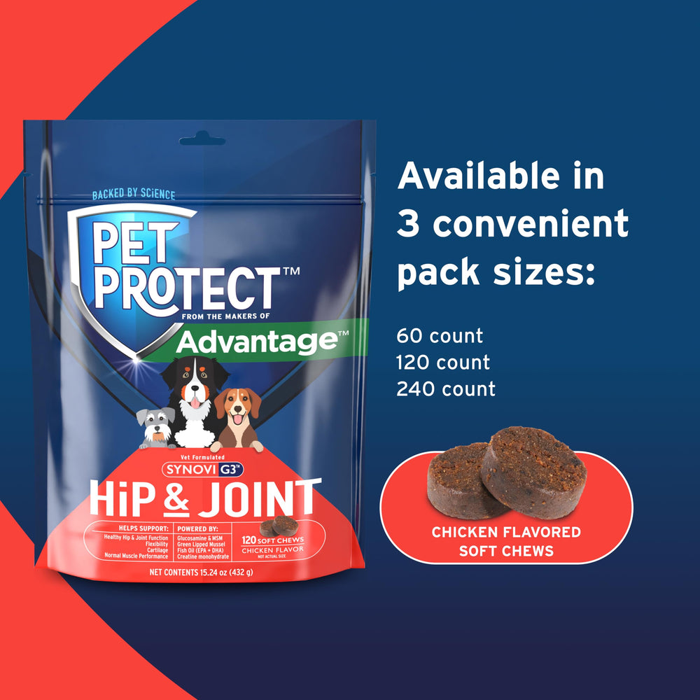 Pet Protect palourdes vertes, nutriments pour articulations quotidiennes