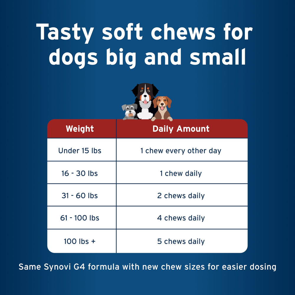 Vitamines C et E et antioxydants pour les articulations avec Pet Protect.