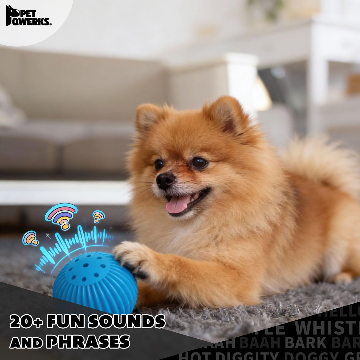 Pet Qwerks Babble Ball construction-durable-abs, résistante aux mâchonnements.