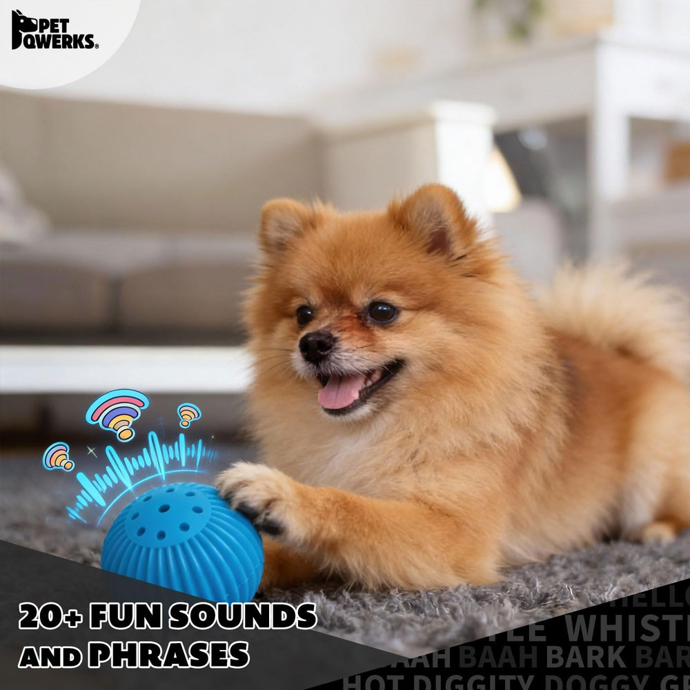 Pet Qwerks Babble Ball construction-durable-abs, résistante aux mâchonnements.