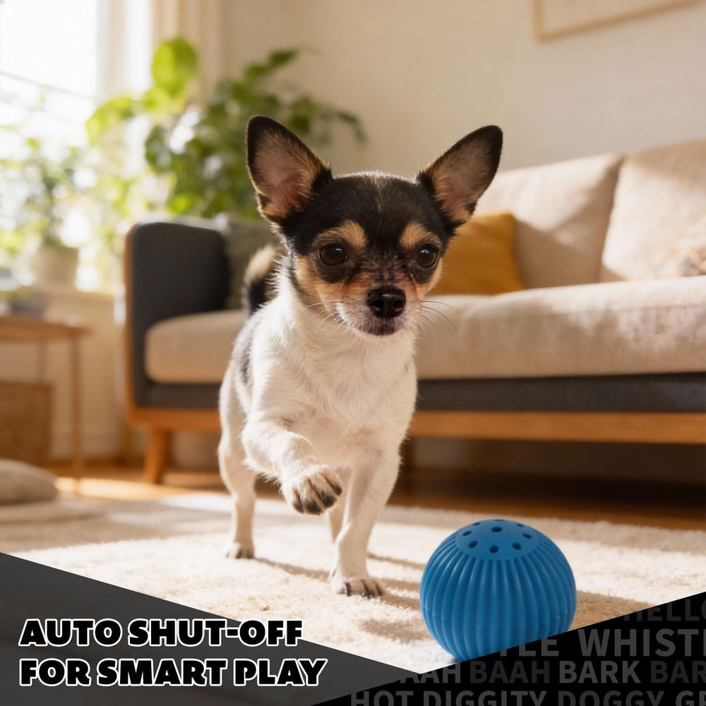 Pet Qwerks Babble Ball design-ludique, attire l’attention et favorise le jeu.