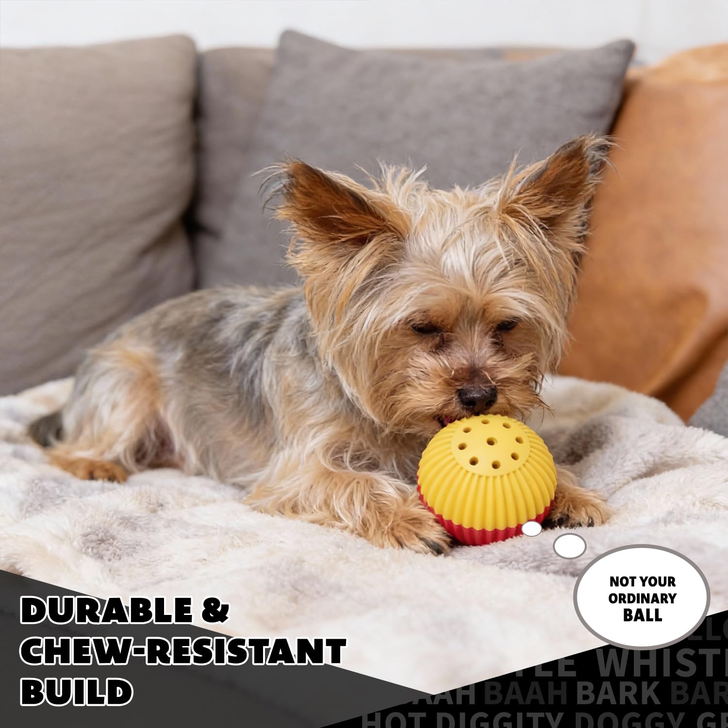 Pet Qwerks Babble Ball: distraction pendant le jeu et l’entraînement.