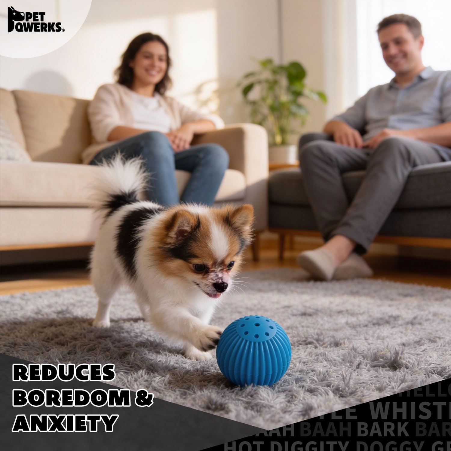 Pet Qwerks Babble Ball extinction-auto-apres-jeu assure tranquillité.