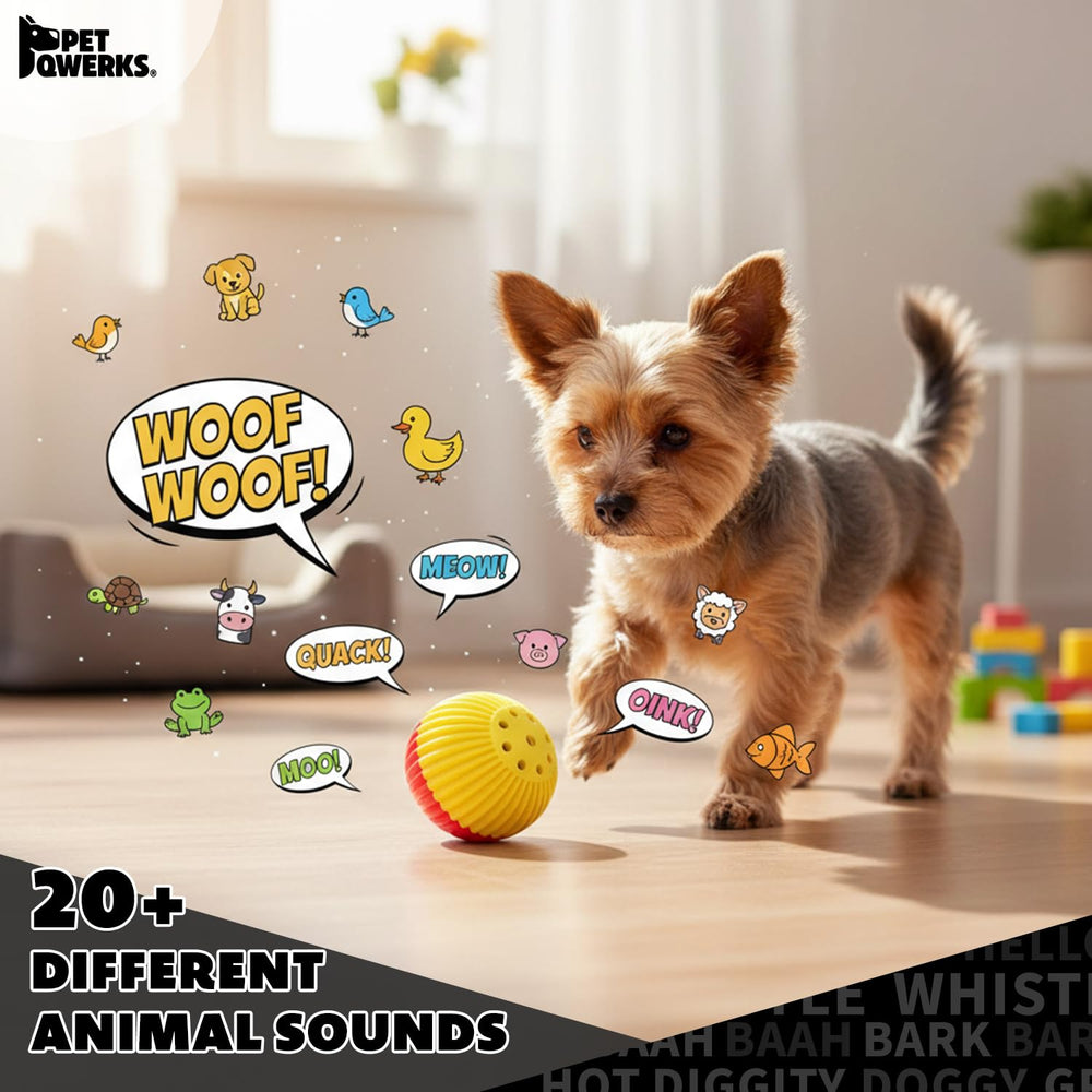 Pet Qwerks Babble Ball en action: chien réagit aux sons.