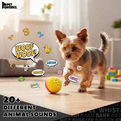 Pet Qwerks Babble Ball en action: chien réagit aux sons.