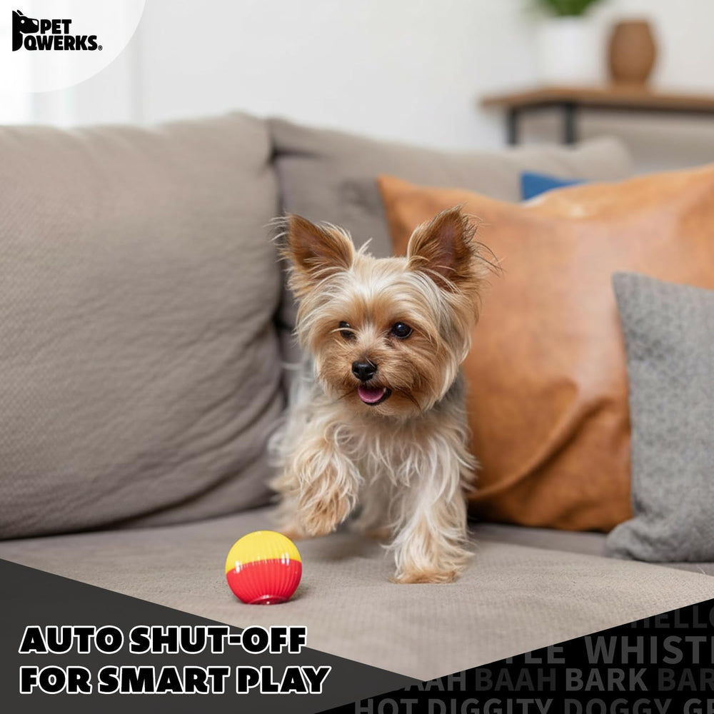 Pet Qwerks Babble Ball: jouet fiable et durable pour forts chiens.