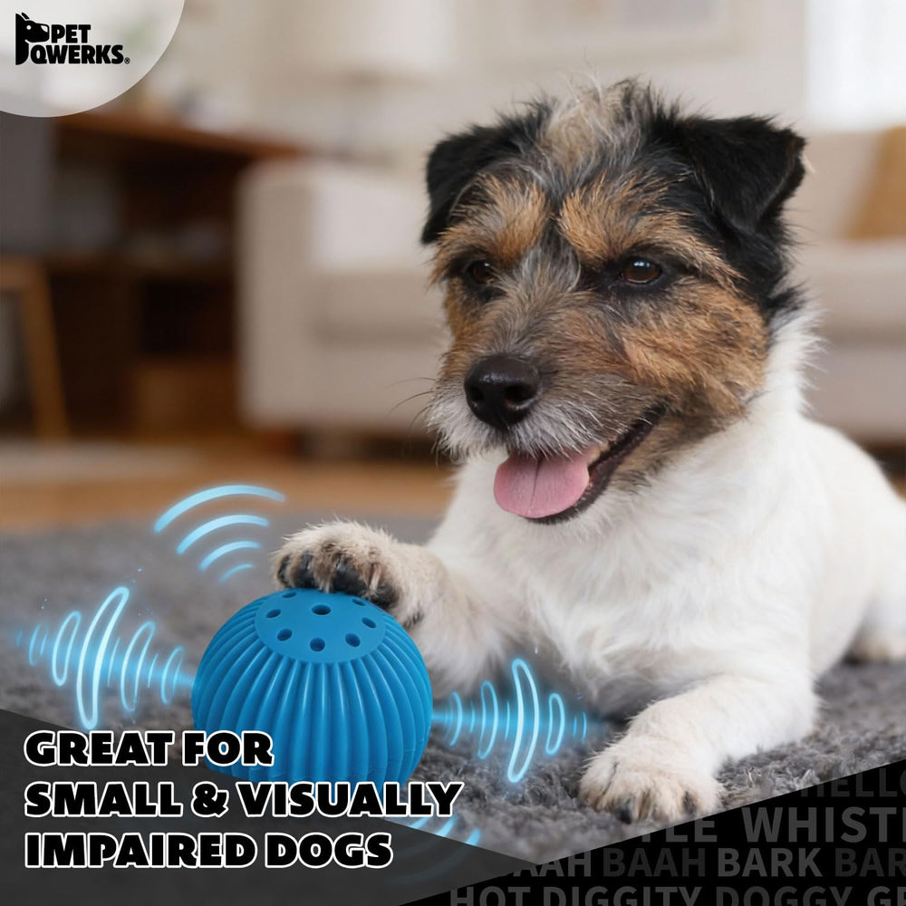 Pet Qwerks Babble Ball mordillage-sain, stimule la mastication adaptée.