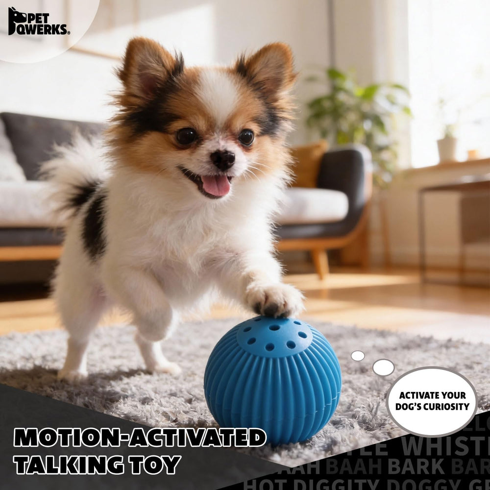 Pet Qwerks Babble Ball stimulation-anti-stress, encourage le jeu et la curiosité.