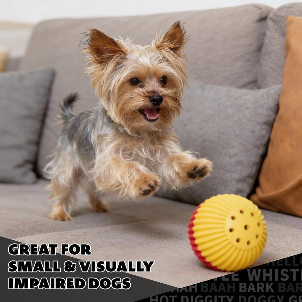 Pet Qwerks Babble Ball: stimulation mentale pour chiens.