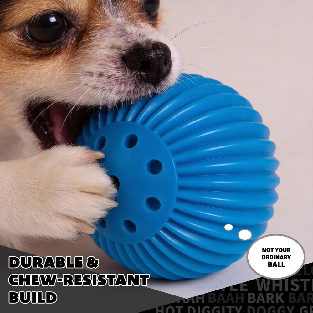 Pet Qwerks Babble Ball utilisation-quotidienne-chiens-petits, pratique et polyvalente.