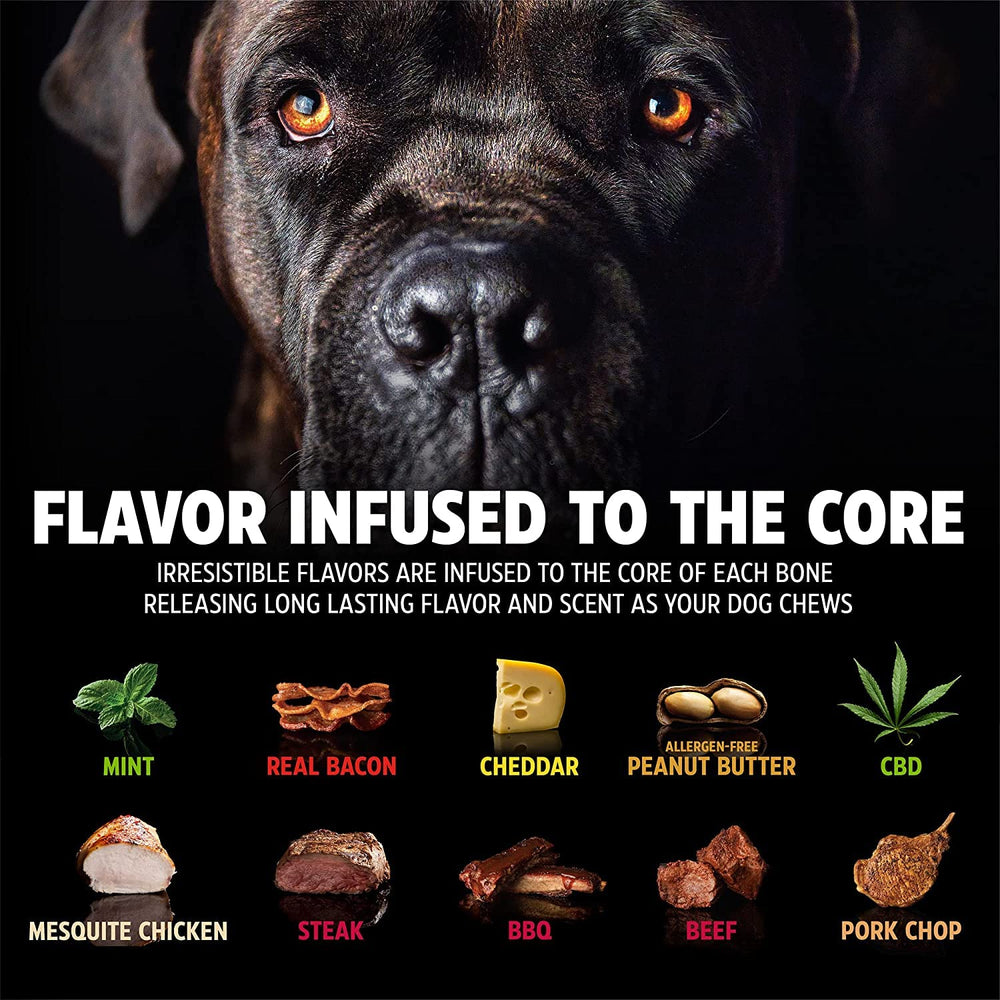 Pet Qwerks BarkBone design unique stimule mentalement et canalise l’énergie lors du jeu.