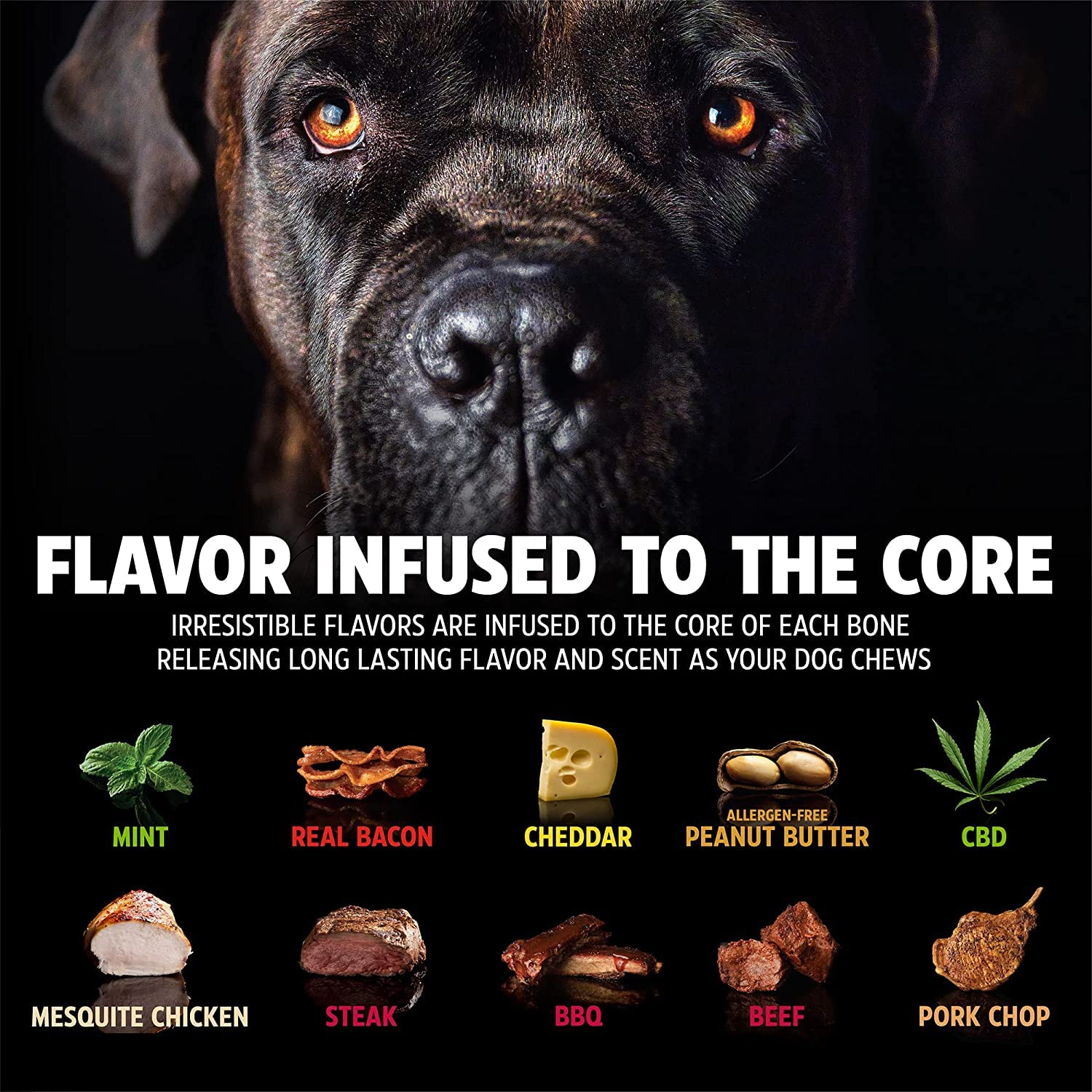 Pet Qwerks BarkBone texture bosses et noeuds pour mastication enrichissante.