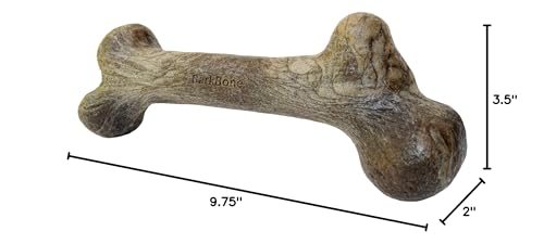 Pet Qwerks Dinosaure-Os utilisation domestique quotidienne.