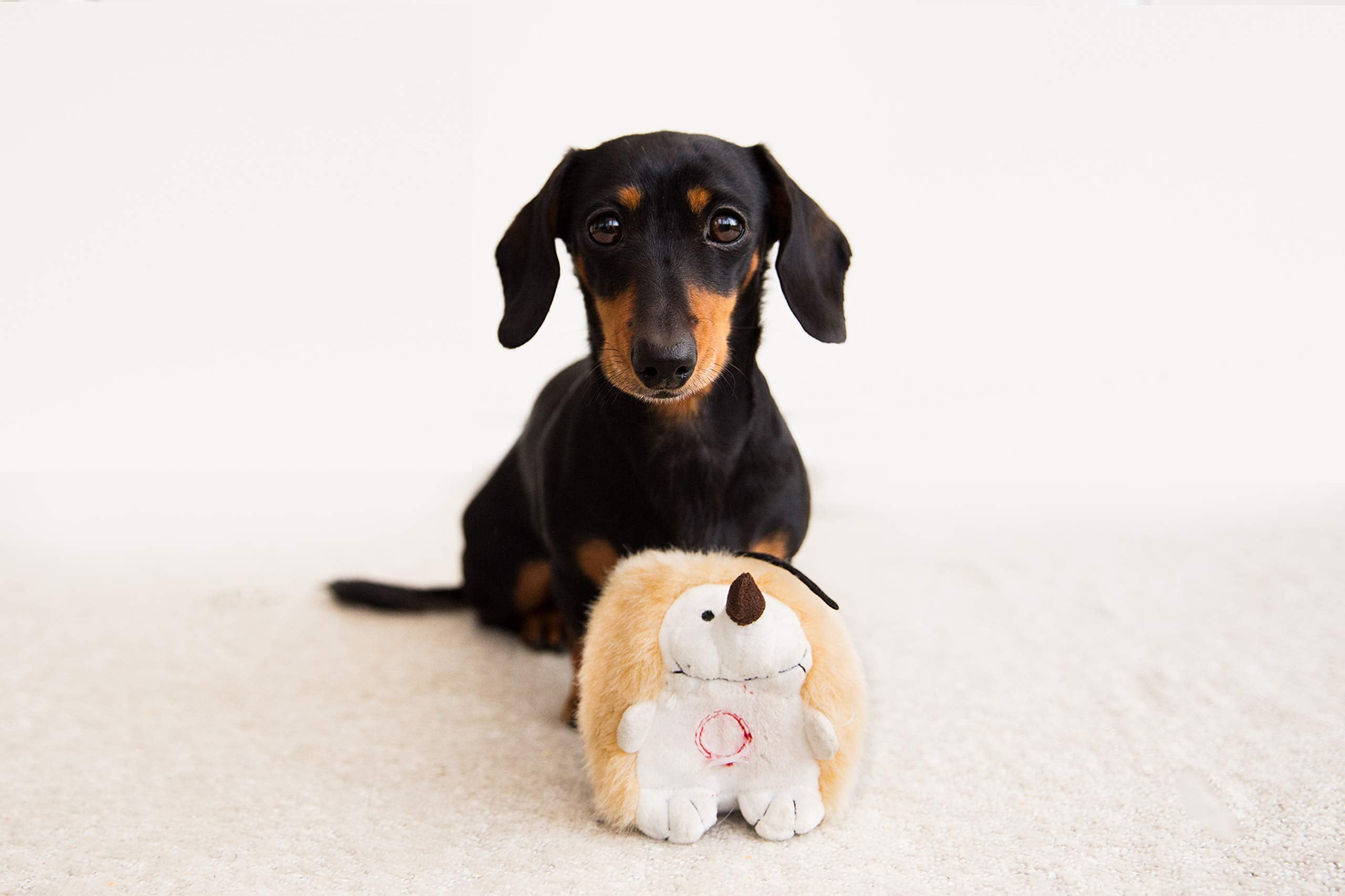 Hérisson en peluche interactif Pet Qwerks, idéal pour des séances de câlin et de jeu