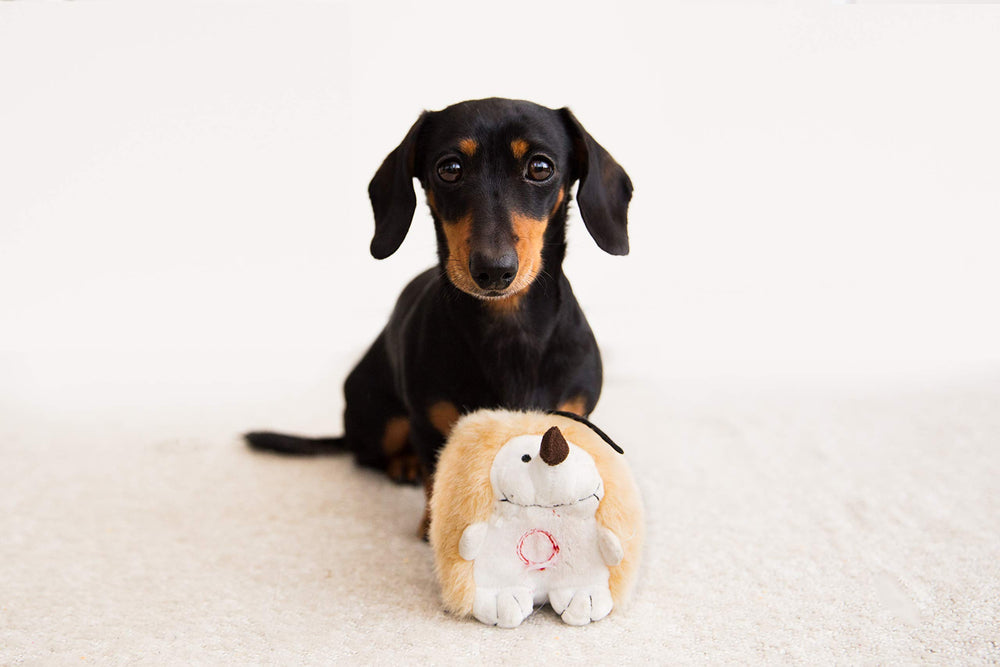 Hérisson en peluche interactif Pet Qwerks, idéal pour des séances de câlin et de jeu