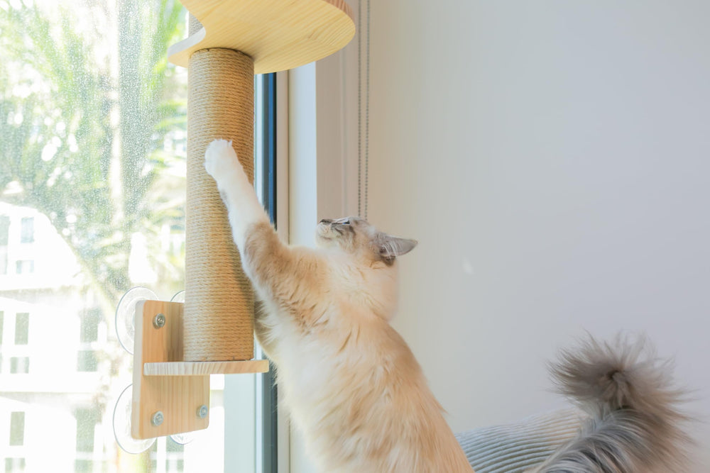 Pet Savvy design neutre mobilier élégant qui s intègre à votre intérieur