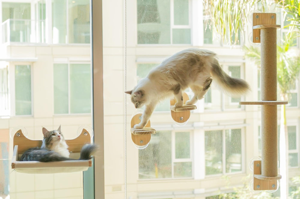 Pet Savvy étagères 4-en-1 hamac espace élevé et confort pour votre chat