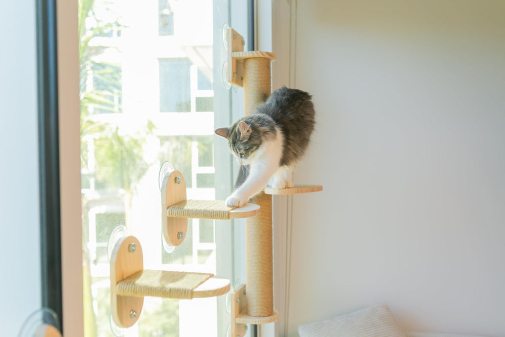 Pet Savvy support 40 lb stabilité fiable pour chats actifs