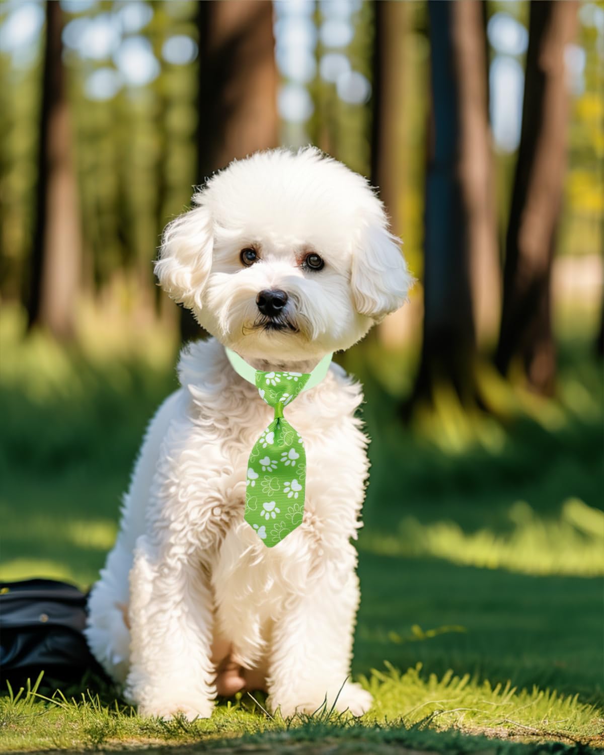 PET SHOW – Accessoires pour collier petit, ajout rapide pour occasions spéciales.