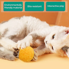 Balles Pet Show pour chat avec couleurs assorties attirant l’œil et stimulant l’activité.