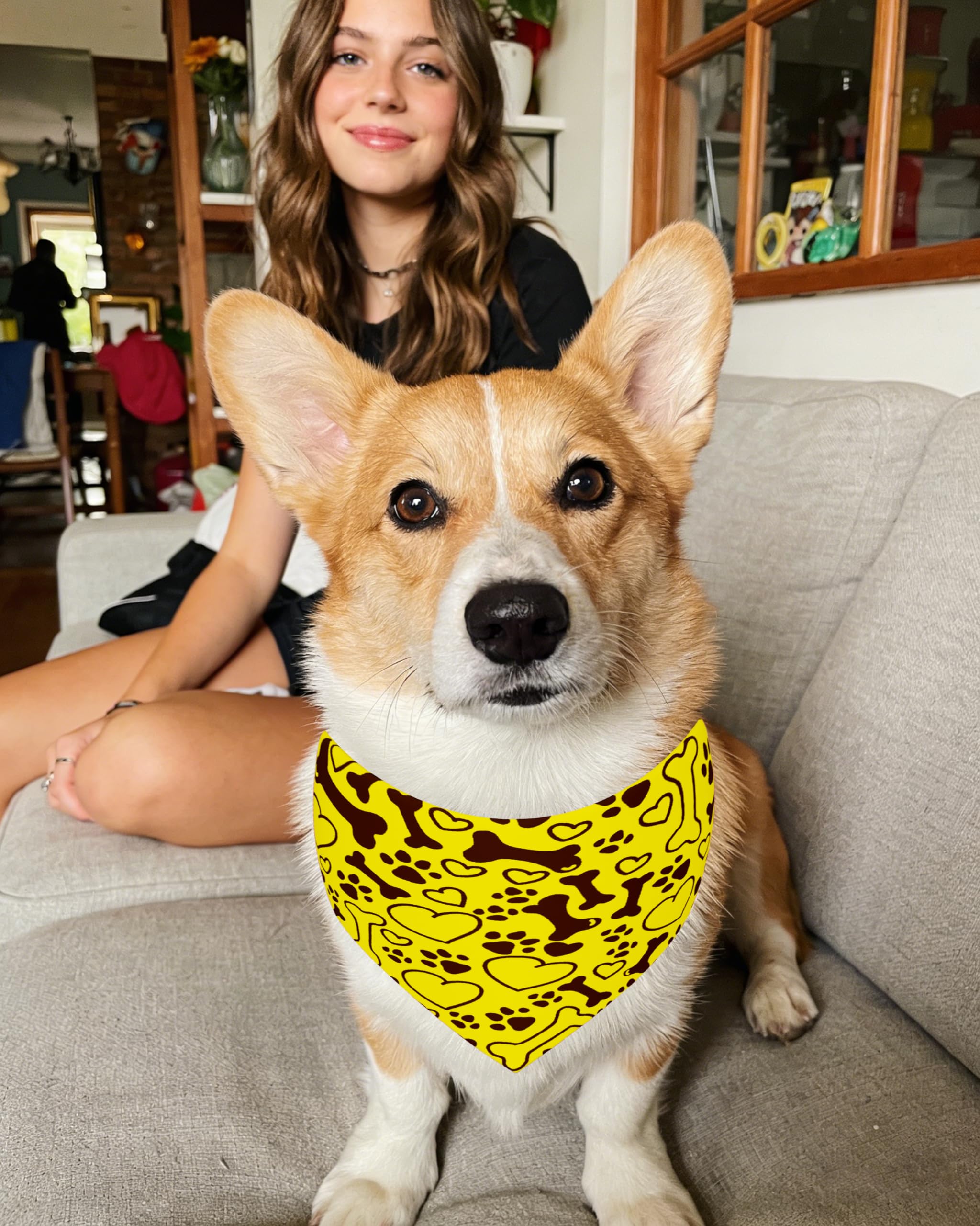 PET SHOW bandana pour chien, usage quotidien et occasions spéciales.